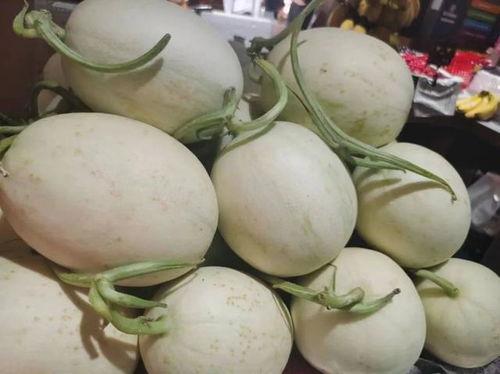 黄色长条吃瓜,揭秘黄色长条“吃瓜”背后的文化现象