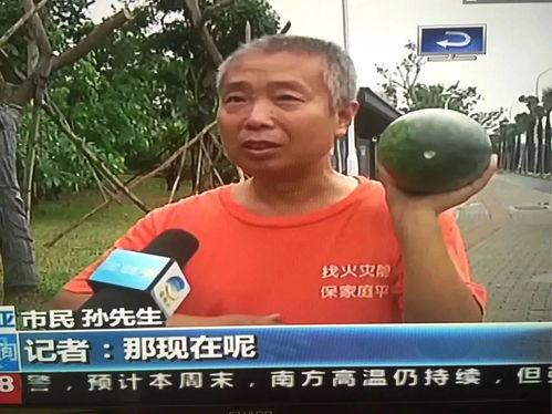 姜堰吃瓜群众事件,一场网络舆论的风暴与反思