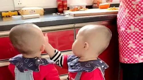 留学双胞胎吃瓜,留学双胞胎的甜蜜瓜界冒险