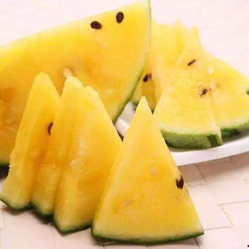 55张ppt吃瓜,吃瓜群众的狂欢盛宴