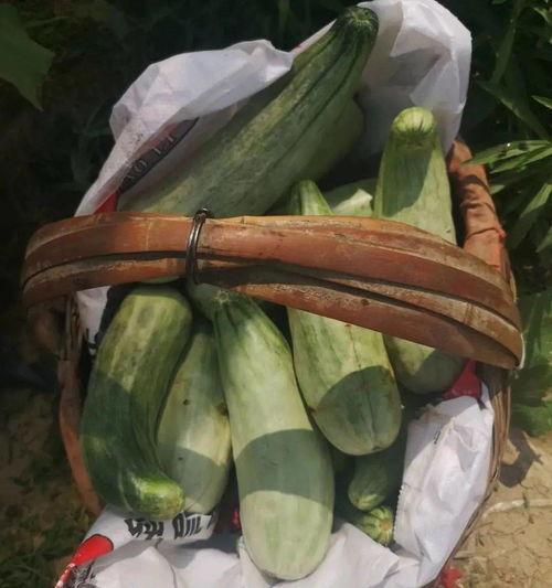 吃瓜货货,揭秘娱乐圈幕后故事