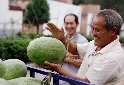 挑瓜吃瓜拍照怎么拍视频,挑瓜吃瓜，视频记录美好瞬间