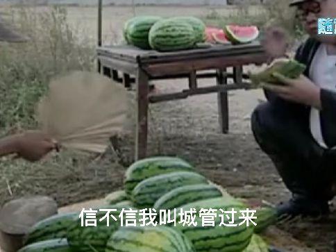 吃瓜相遇,一场意外的甜蜜邂逅