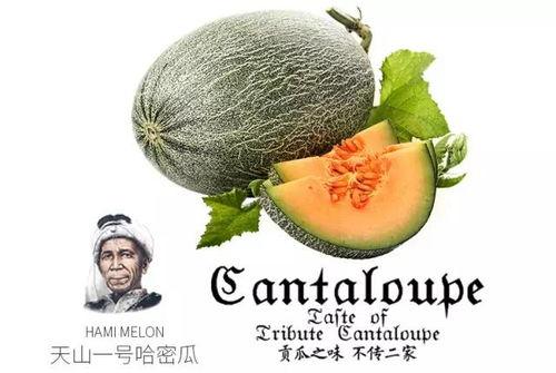 吃瓜号618,吃瓜号带你揭秘各大品牌背后的秘密