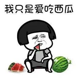 吃瓜吃的很快乐,品味生活，尽享吃瓜之乐