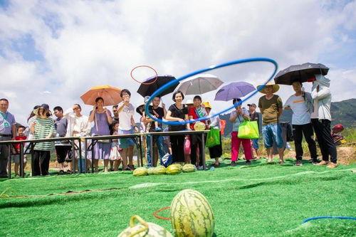 梁山观景台吃瓜,瓜果飘香，尽享夏日盛宴