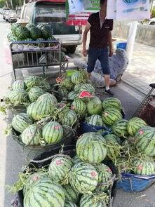 庆安最新吃瓜事件,揭秘背后真相与争议焦点