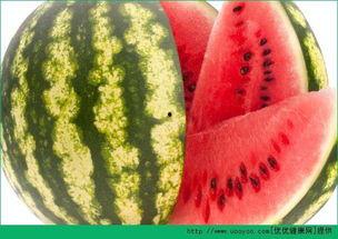 每日聪颖吃瓜视频