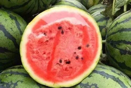 瓜哥带你吃瓜开箱,开箱大揭秘，吃瓜群众必看！