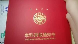 猹与吃瓜少年,猹与吃瓜少年的奇幻冒险之旅