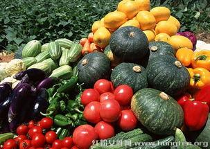 新鲜瓜怎么吃效果最好,解锁最佳食用新方法