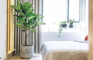 卧室吃瓜,瓜香四溢的悠闲时光