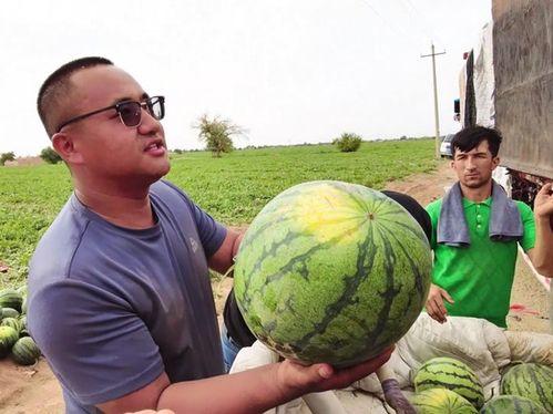 乌鲁木齐吃瓜图片大全,一场视觉与味蕾的盛宴