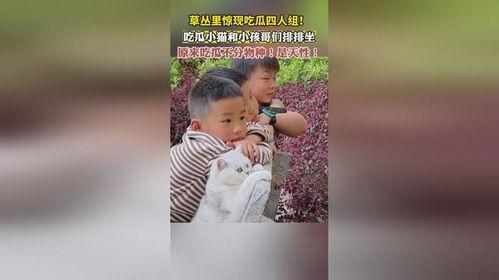 吃瓜四,一场关于美食与生活的趣味盛宴