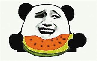 吃瓜群众认真吃瓜子视频,揭秘吃瓜群众的热闹瓜子时光