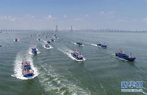 福建渔船出海围观吃瓜,围观吃瓜成热门话题