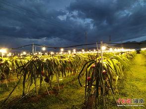 18度吃瓜北纬,探寻瓜果飘香的秘密之旅