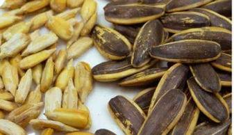 焦糖语音吃瓜,揭秘娱乐圈幕后故事