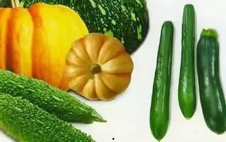 厨房里吃瓜,一场味蕾的盛宴