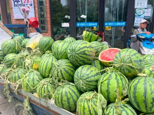 来市场吃瓜,市场吃瓜群众欢乐多