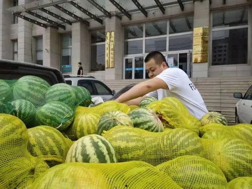 乌海吃瓜事件,一场网络狂欢背后的真相与反思