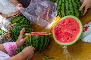 贵州吃瓜视频,揭秘贵州美食的独特魅力