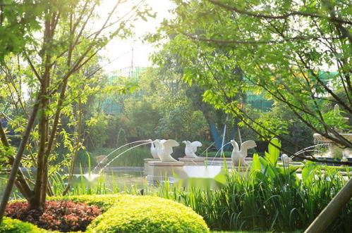 御湖公园吃瓜,畅享清凉时光