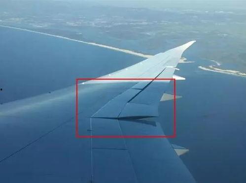 飞机机翼带你吃瓜