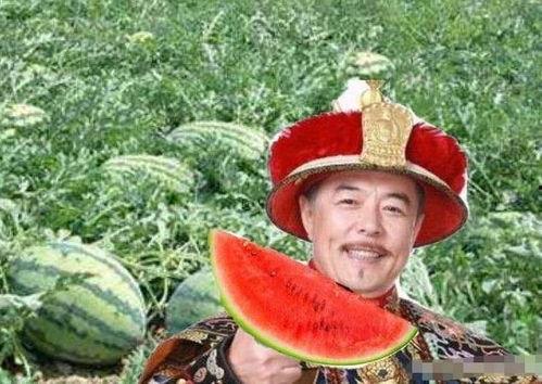 乾隆路边吃瓜,乾隆皇帝路边品瓜趣事
