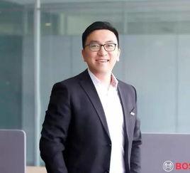 总裁助理吃瓜,揭秘职场背后的秘密风云