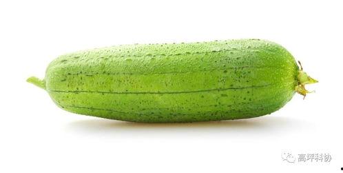 有啥吃的瓜可以种的,盘点那些“有啥吃的”瓜果蔬菜种植攻略