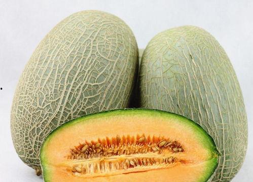 哈密瓜吃少了,揭秘为何哈密瓜吃少了