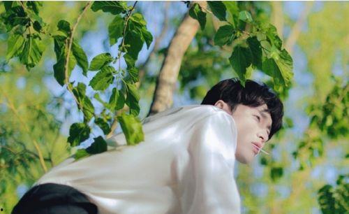 张艺兴前排吃瓜,揭秘娱乐圈幕后风云