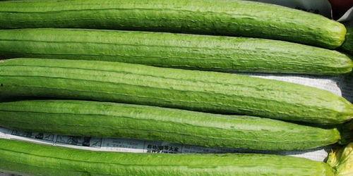 什么瓜没虫吃,揭秘自然界的奇妙生态平衡